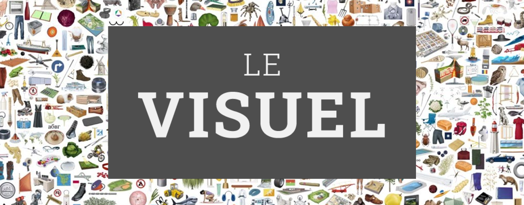 Le Visuel
